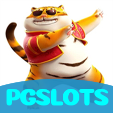 PGSLOTS visual